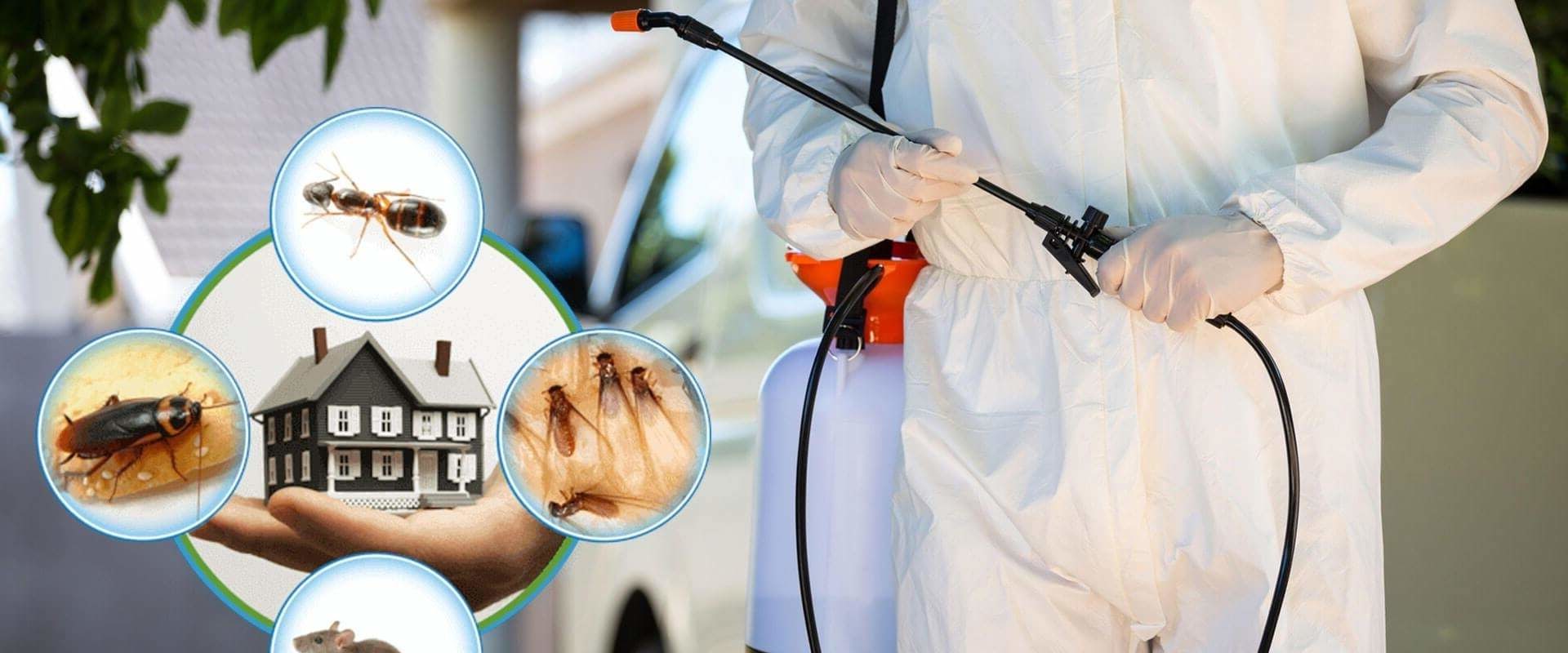 What is the best type of pest control?