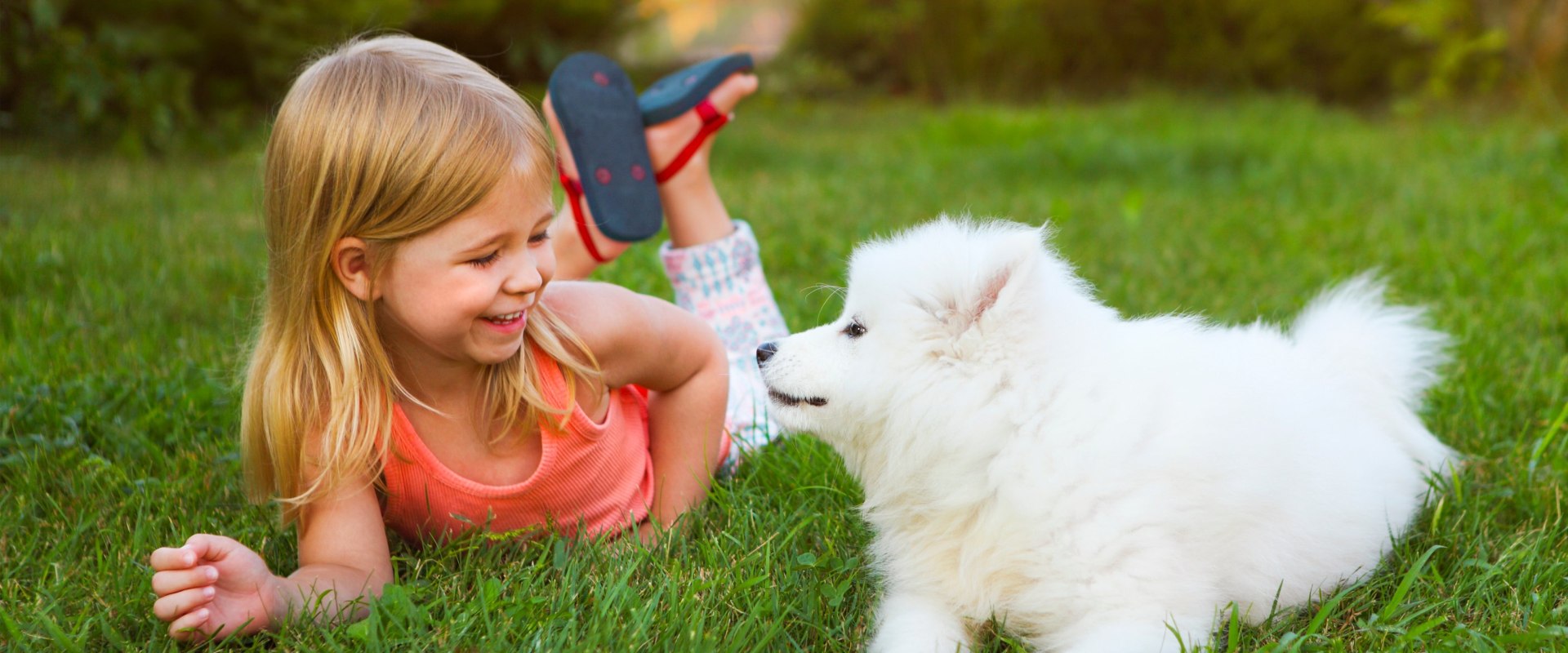 Is pest control safe for humans?