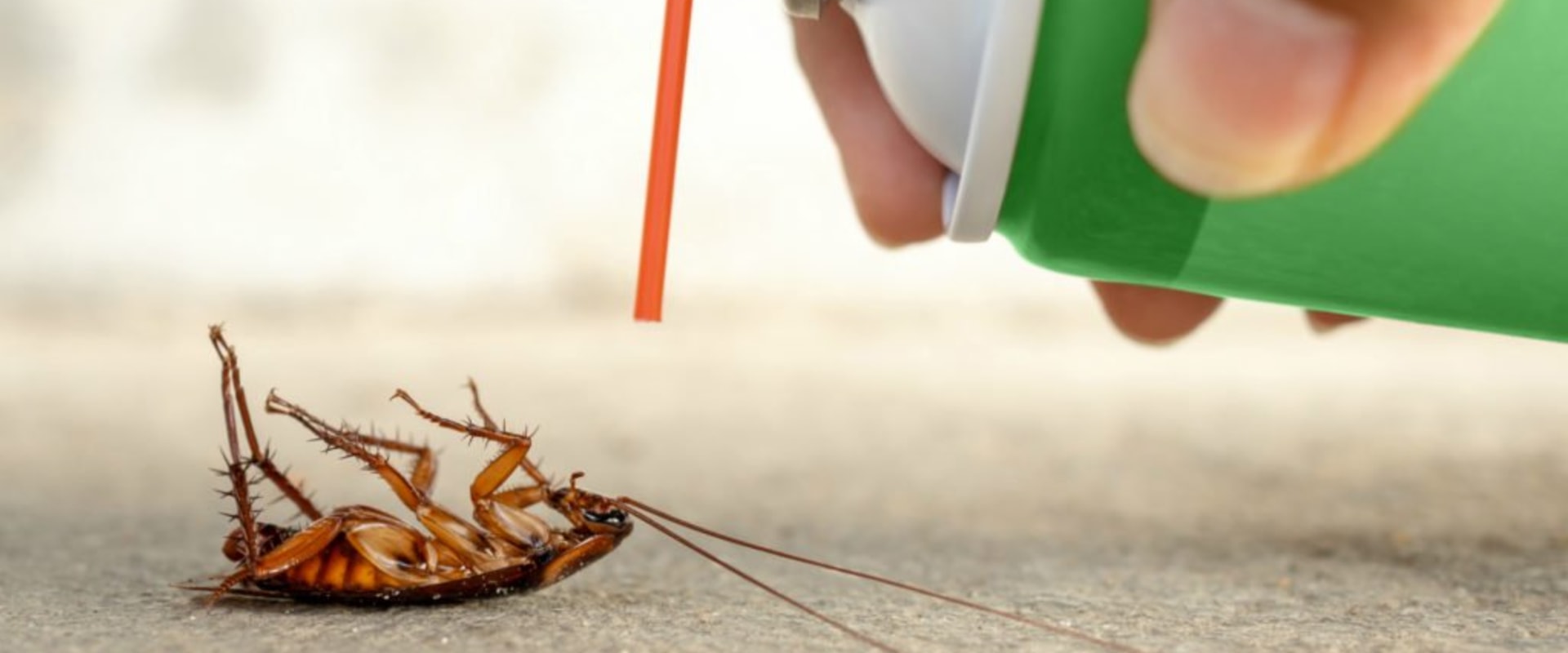 What is the best pesticide for roaches?