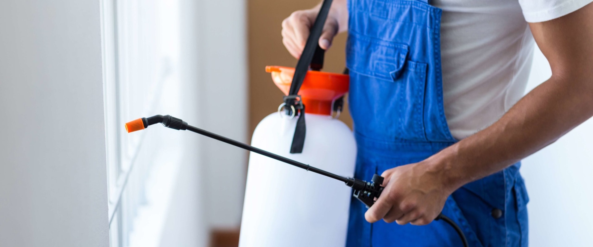 Is pest control spray safe to breathe?