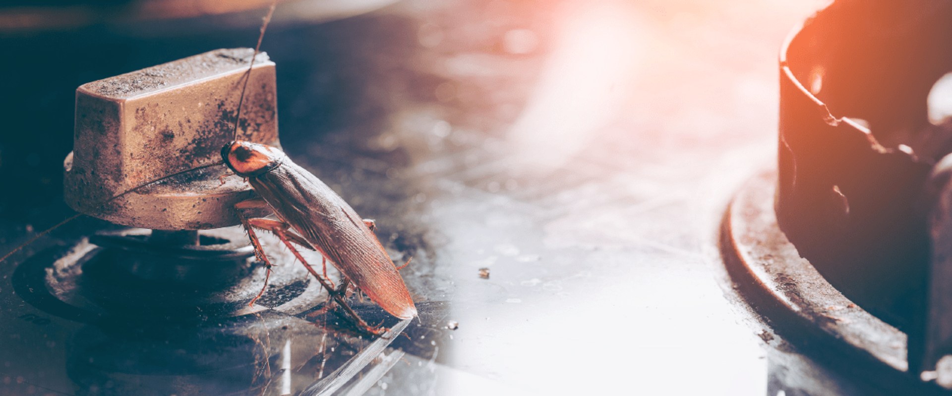 How does electromagnetic pest control work?