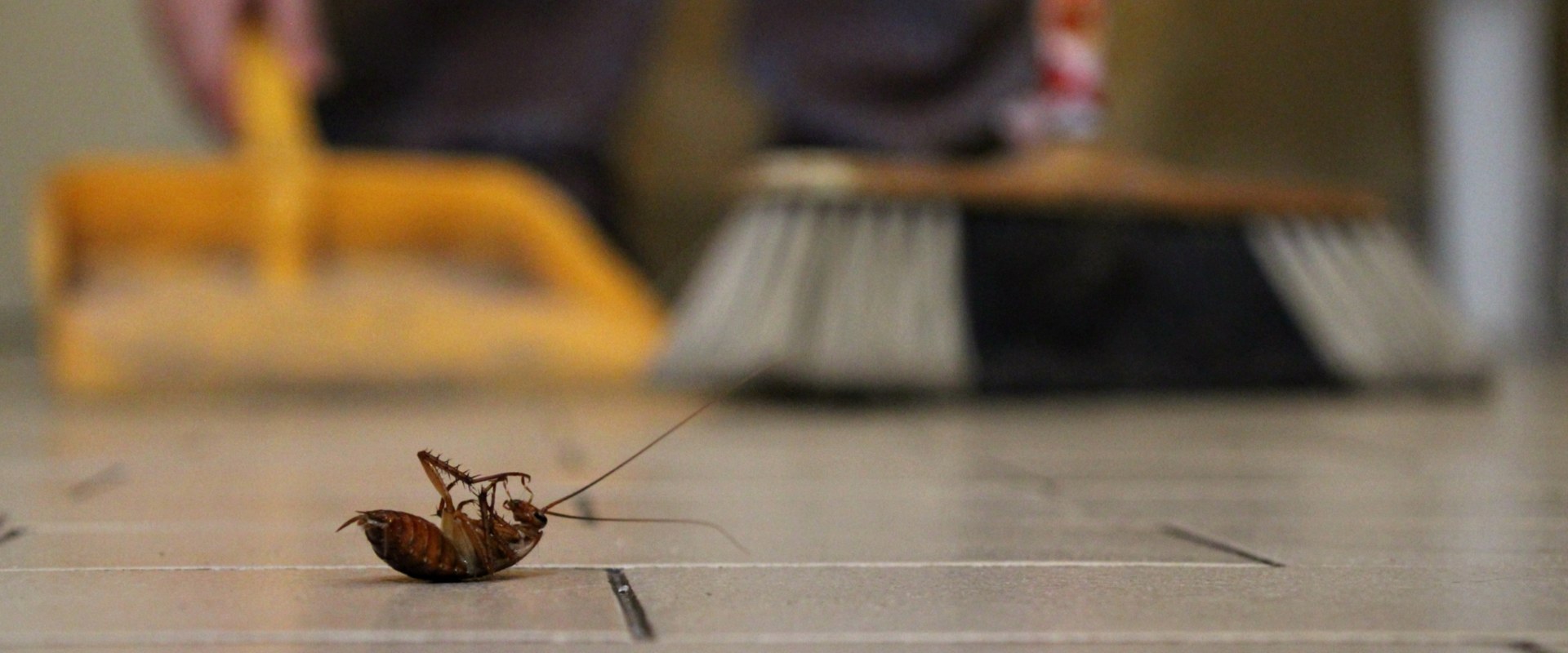 What pest control company pays the most?