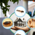 What is the best type of pest control?
