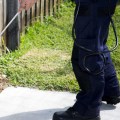 How many times pest control should be done?