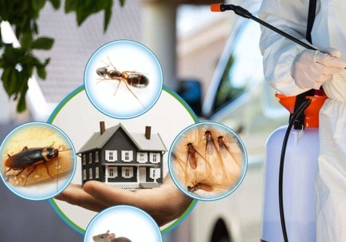 What is the best type of pest control?