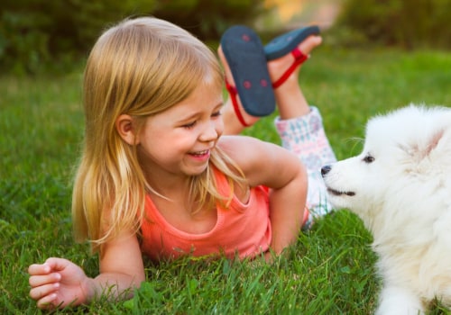 Is pest control safe for humans?