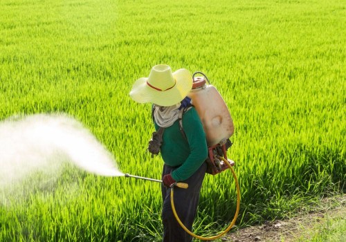 How long after spraying pesticides is it safe for pets?