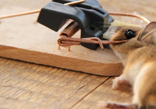 Do exterminators actually work?